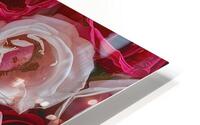 roses background 2 HD Metal print