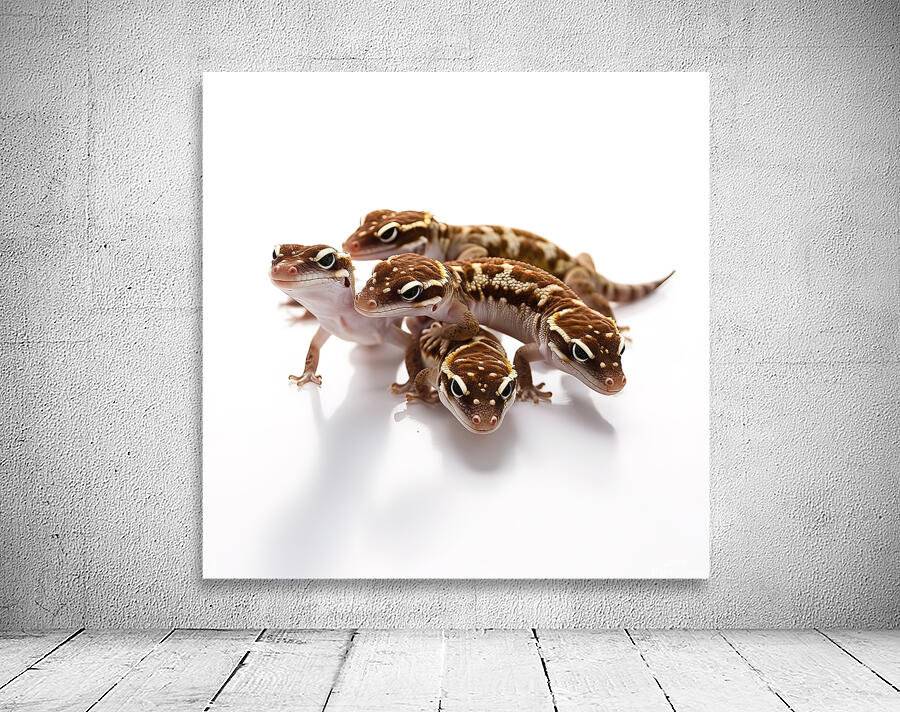 brown spotted gecko reptiles isolated 1 Wall Preview