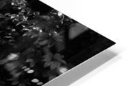 Plant Wall HD Metal print