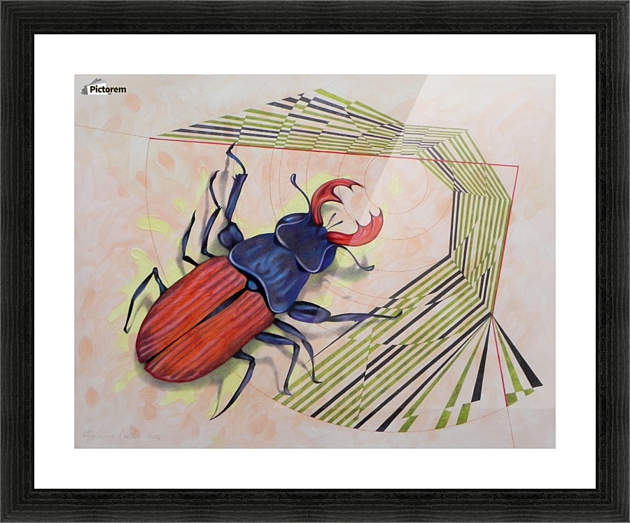 stag beetle Picture Frame print
