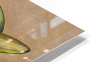 green aerofish HD Metal print