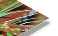 Meadow at spring HD Metal print