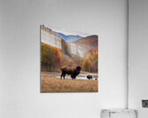 Blue Ridge Bison Creek Heaven Acrylic Print