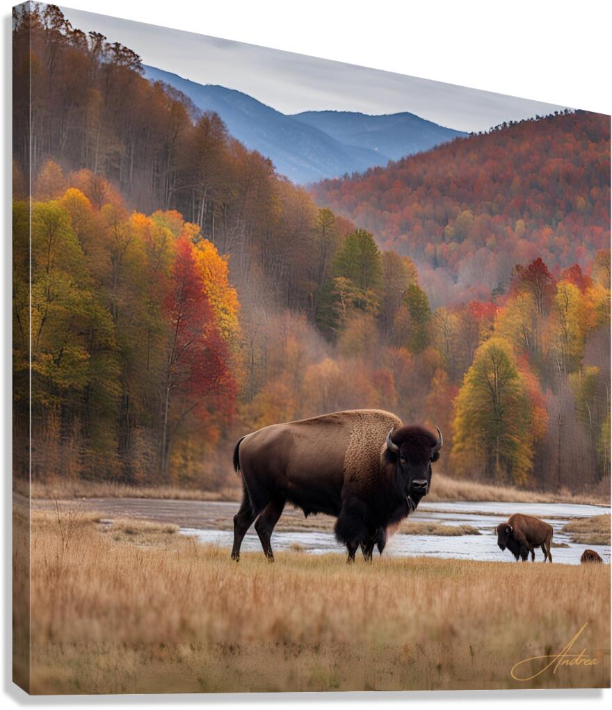 Blue Ridge Bison Creek Heaven Canvas Print