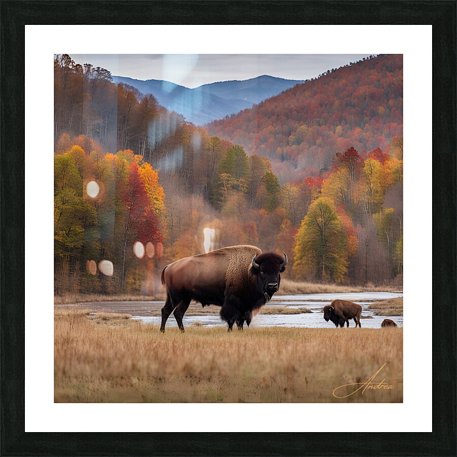 Blue Ridge Bison Creek Heaven Picture Frame print