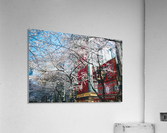 Ramen Blossoms  Acrylic Print