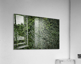Silent carpet Acrylic Print