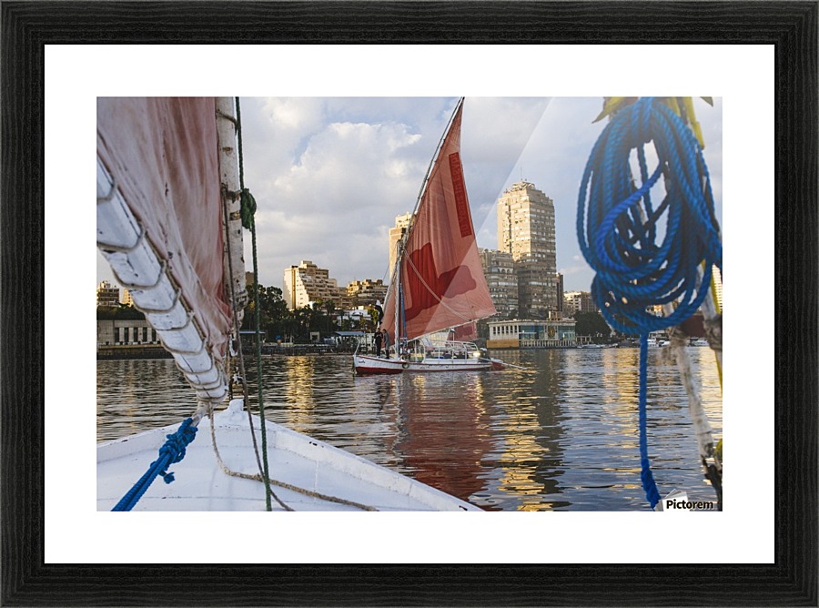 Sailing in Cairo  Picture Frame print
