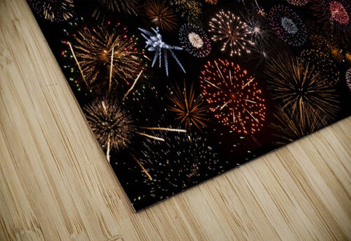 Fire Blooms Raisa Mirza puzzle