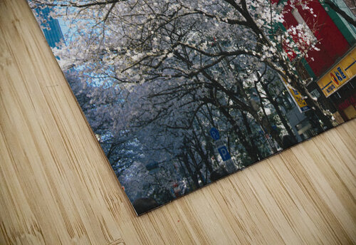 Ramen Blossoms  Raisa Mirza puzzle