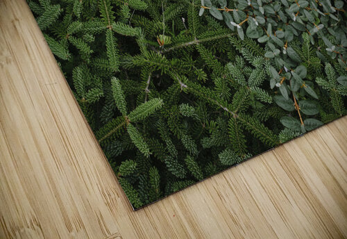 Silent carpet Raisa Mirza puzzle
