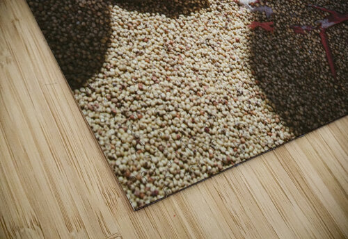 Sorting Hands Raisa Mirza puzzle