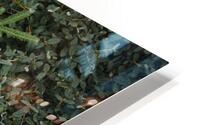 Silent carpet HD Metal print