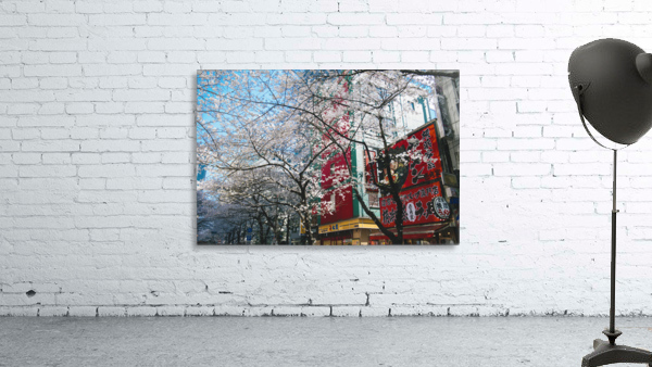 Ramen Blossoms  Wall Preview