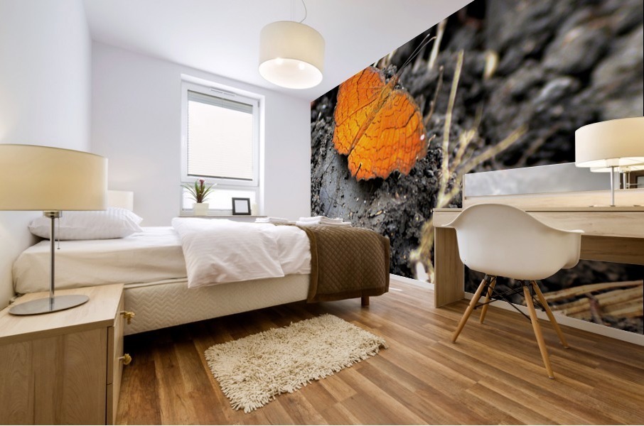 Butterfly Mural print