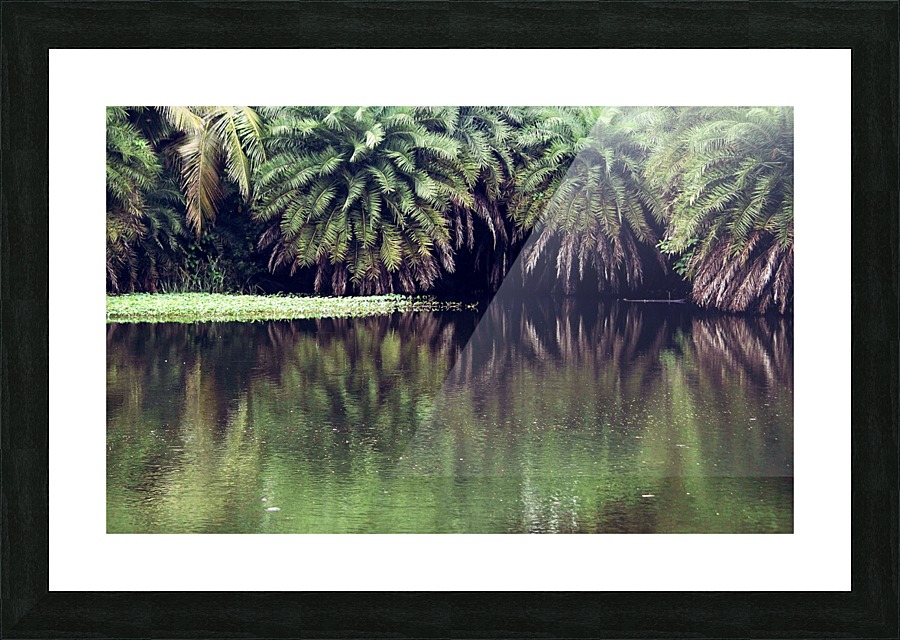 LakeTrees Picture Frame print