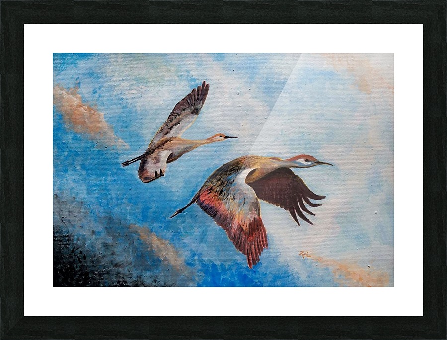 Birds Picture Frame print