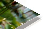 Lotus HD Metal print
