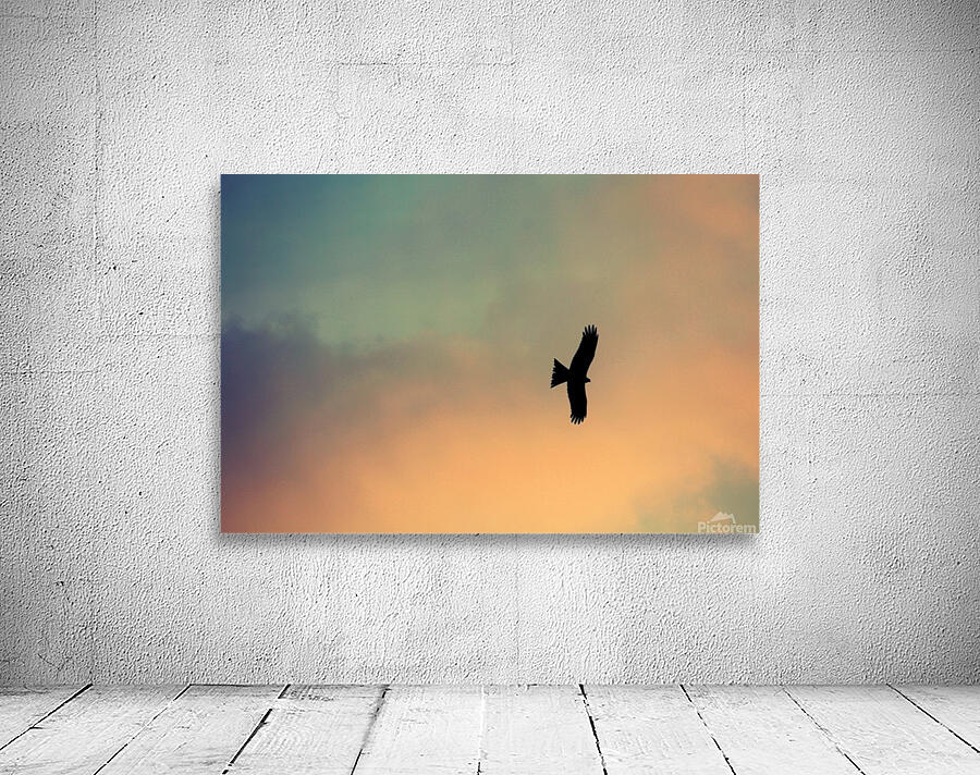 FlyingBird Wall Preview