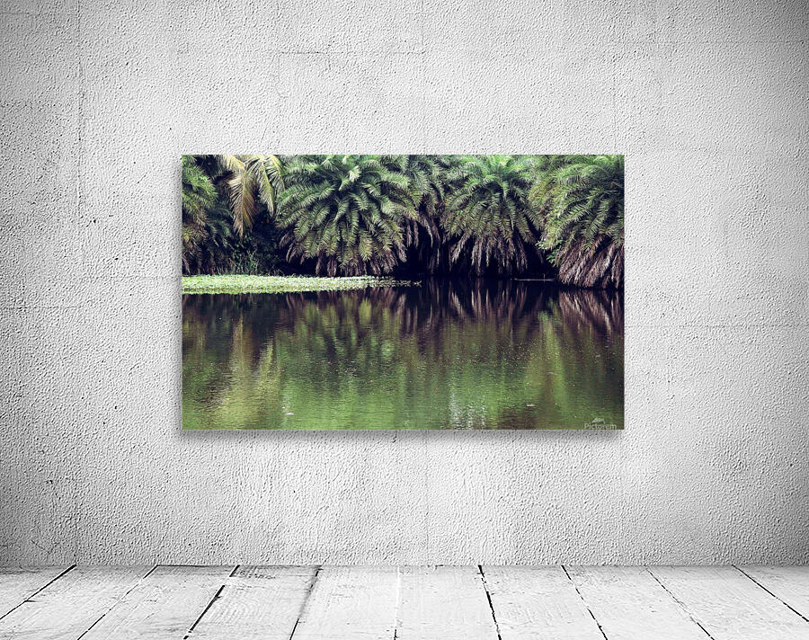 LakeTrees Wall Preview