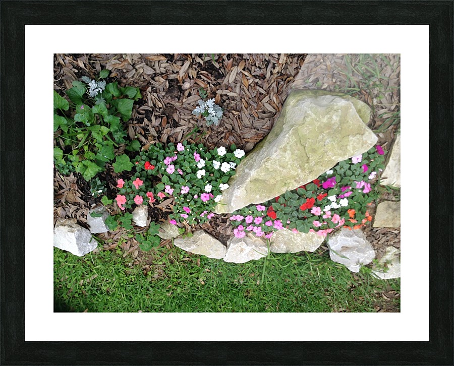 IMG_0018 Picture Frame print