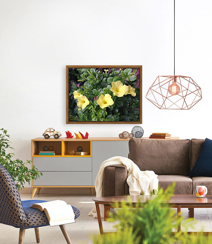 Yellow Mandevilla Reproduction