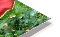 Awesome Petals HD Metal print