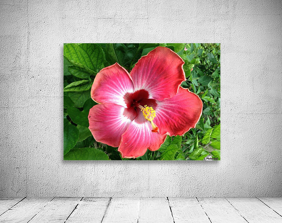 Awesome Petals Wall Preview
