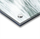 IMG 6949 Acrylic print