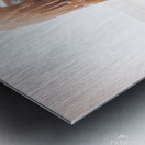 Ghost Ship Metal print