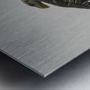 IMG 6945 Metal print