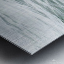 IMG 6949 Metal print