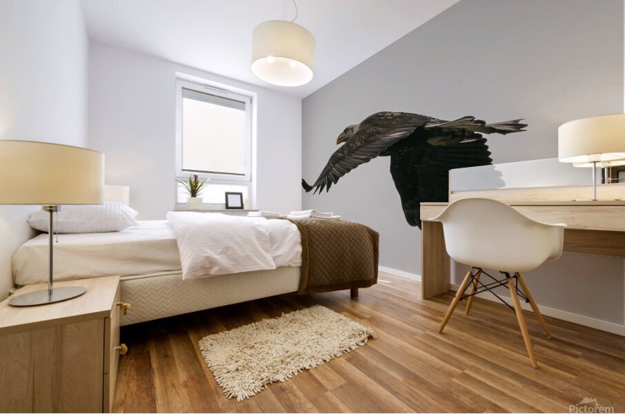 IMG 6945 Mural print