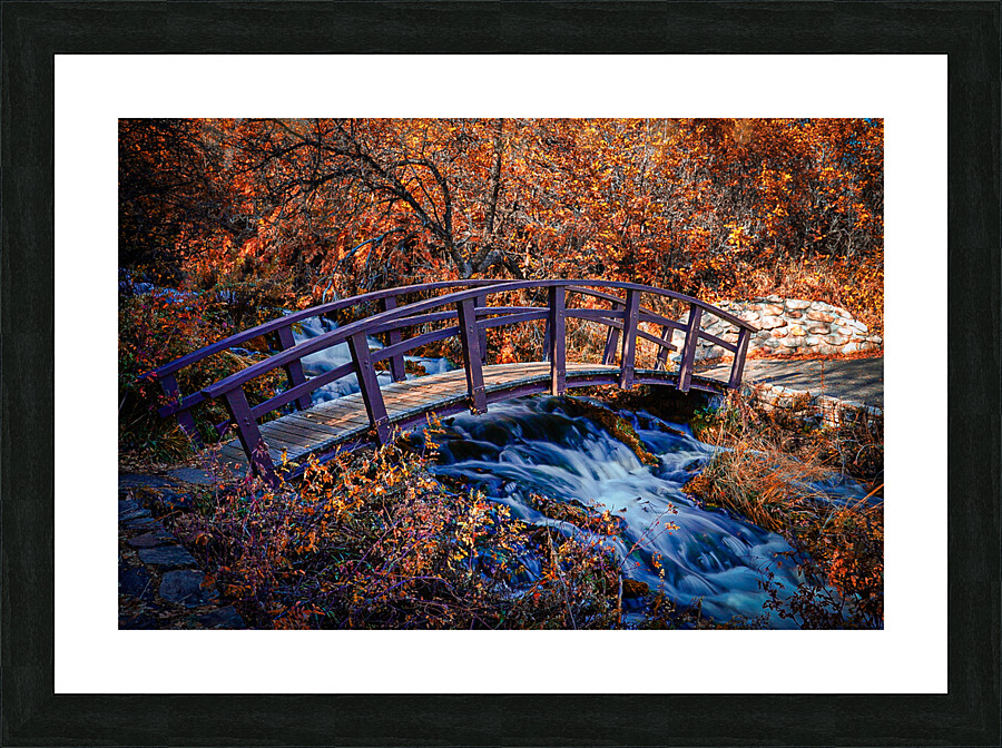 Cascade Springs Picture Frame print