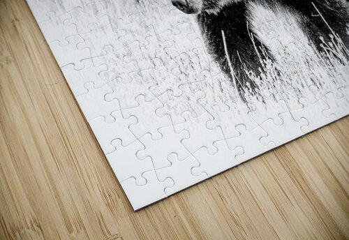 Yellowstone Griz Anthony Cummins puzzle