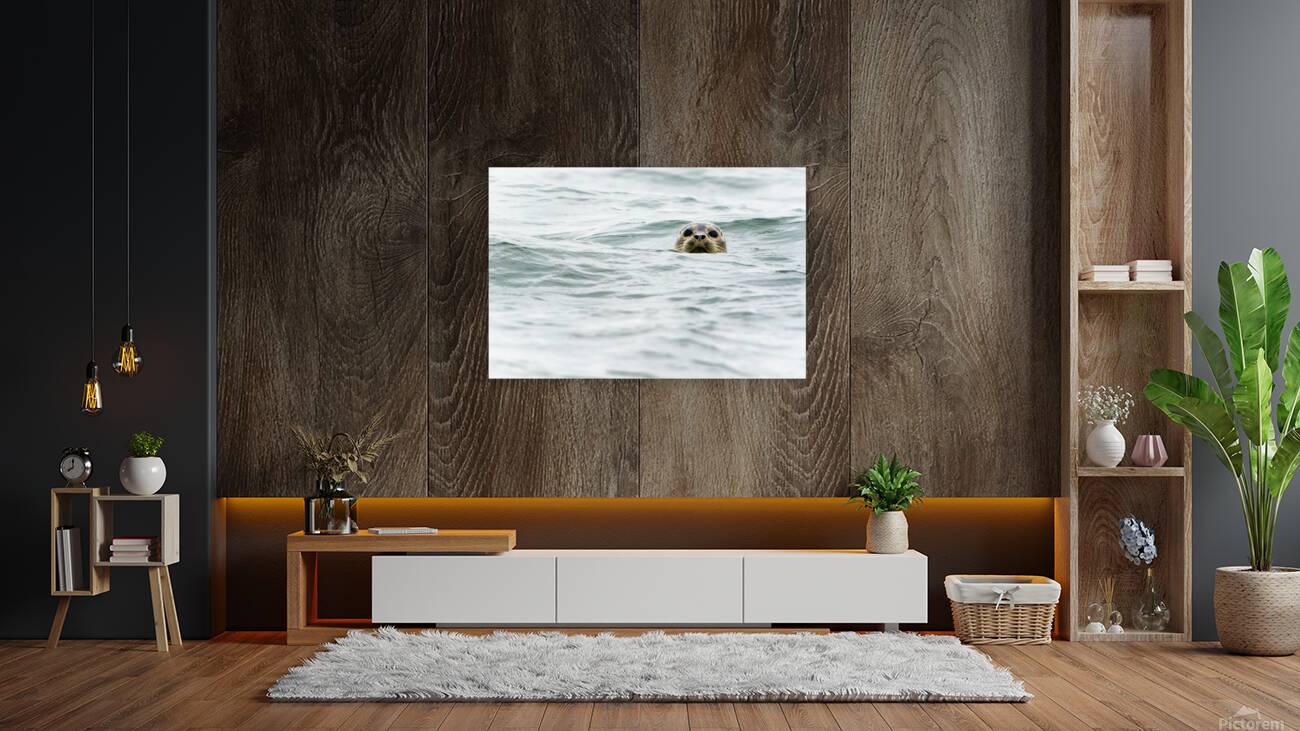 IMG 6949 Reproduction