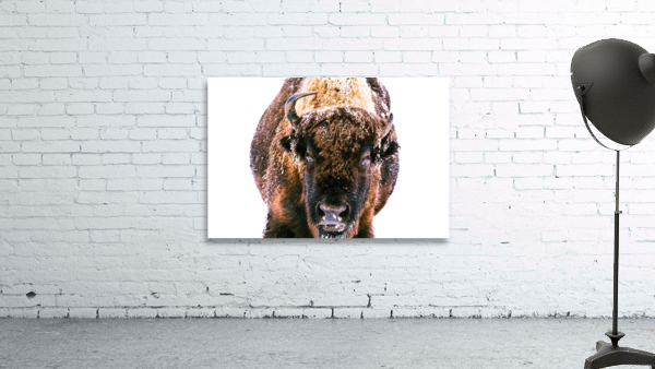  Winter Buffalo Wall Preview