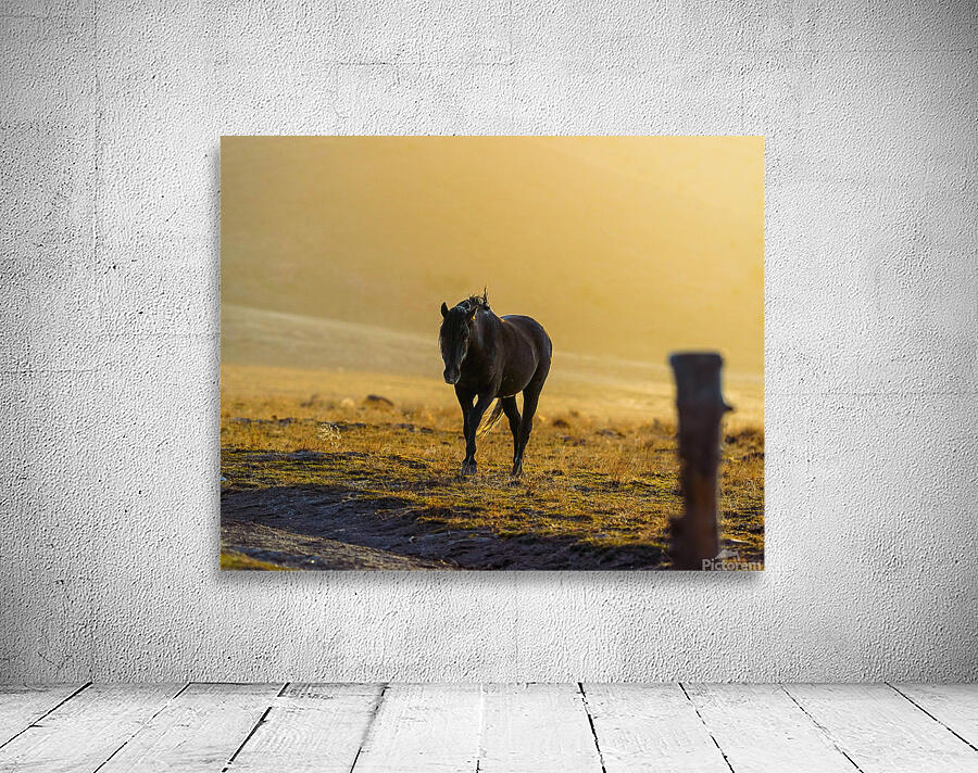  Wildhorse At Sunset Wall Preview