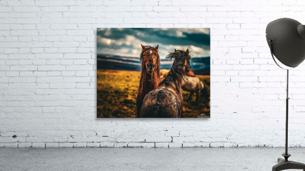 Wild Horse  Wall Preview