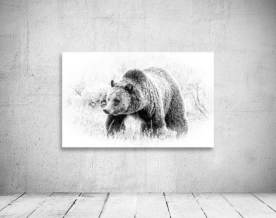 Yellowstone Griz Wall Preview