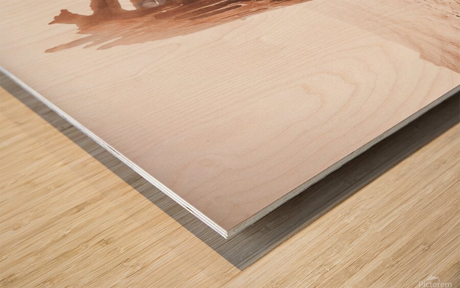 Ghost Ship Wood print