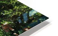 CA Middle America 10 HD Metal print