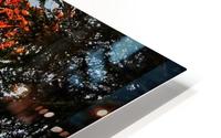 Tree on Fire HD Metal print