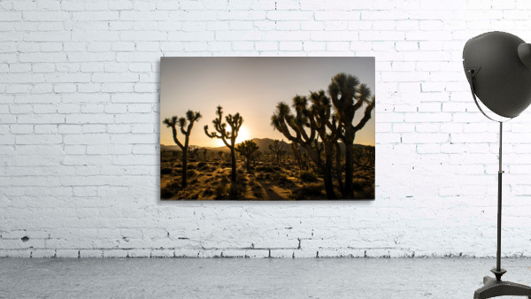 Golden Hour Wall Preview