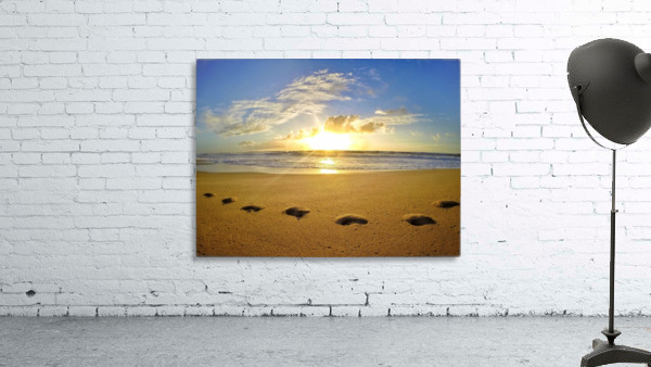 Footprints Wall Preview