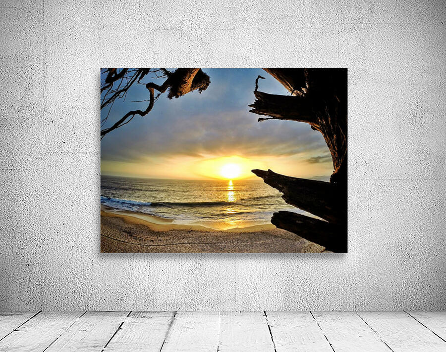 Half Moon Bay Wall Preview