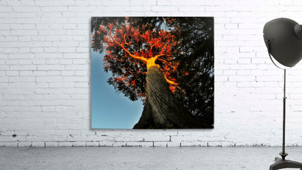 Tree on Fire Wall Preview