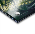 A mysterious and beautiful natural forest Acrylic print