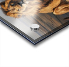 King of the Savannah: The Greatness and Majesty of the Lion  Acrylic print