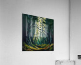 A mysterious and beautiful natural forest Acrylic Print